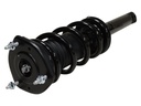 Strut Armado con Resorte Delantero Izquierdo GSP 30410752