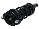 Strut Armado con Resorte Trasero GSP 30410920