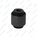Buje de Mangueta Trasero GSP 516107