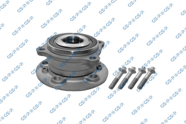 Kit de Reparación Maza con Balero Delantero GSP 9334004K