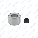 Kit de Balero Trasero GSP GKX0047