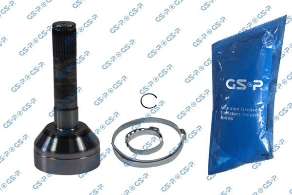 LW57019 — Junta Homocinética GSP LW57019