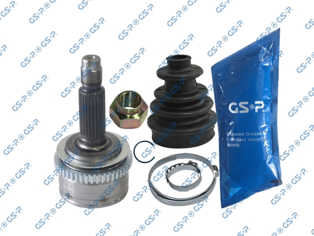 LW99300 — Junta Homocinética GSP LW99300