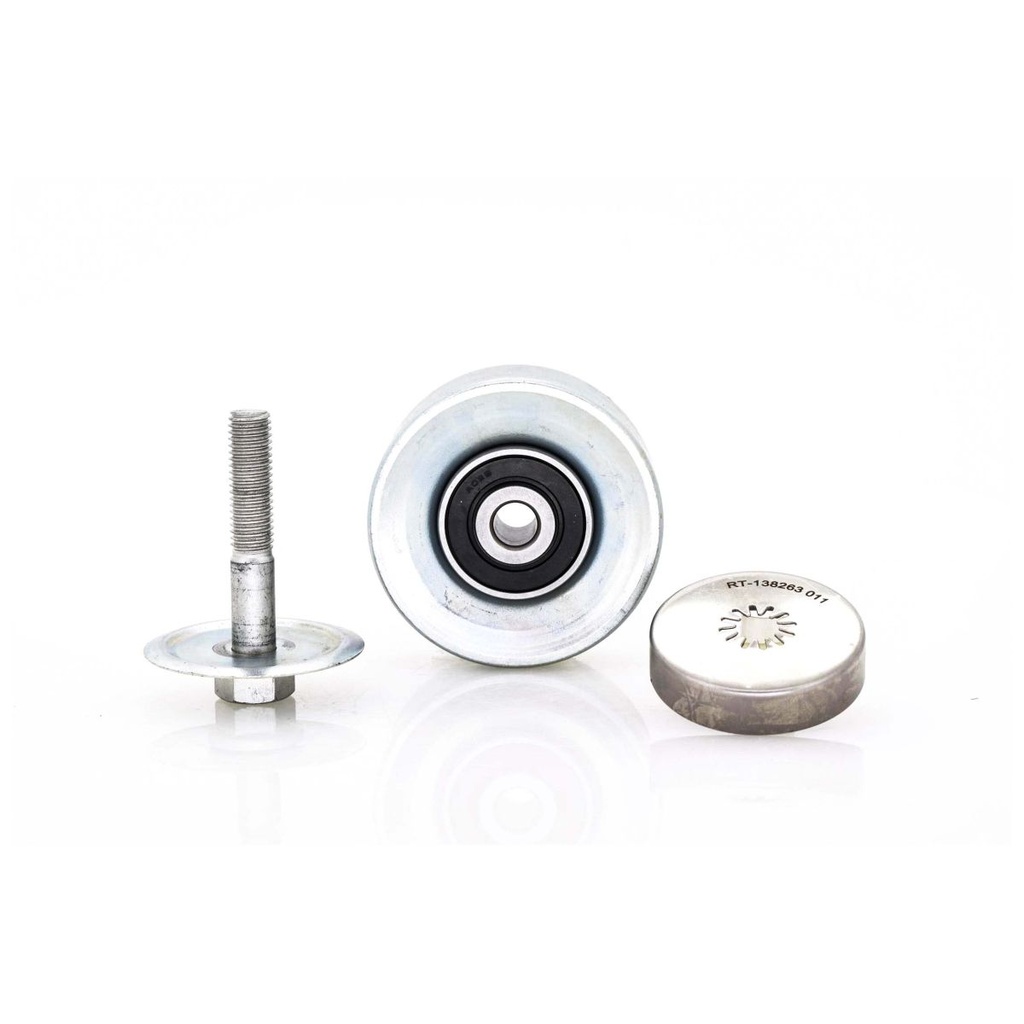 RO-RT-138263 — Polea Loca de Banda de Accesorios RODATECH