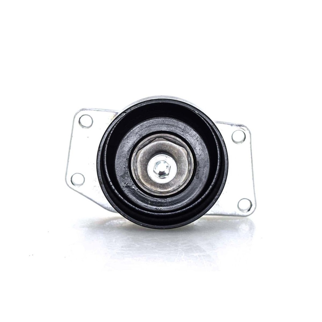 RO-RT-138214 — Polea Loca de Banda de Accesorios RODATECH