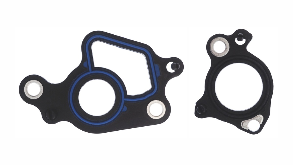 Junta Paso de Agua FORD Expedition 5.4L 2005-2014
