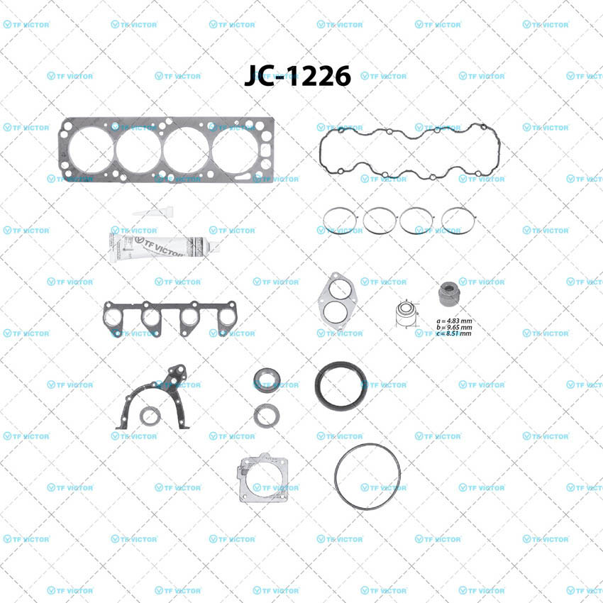 Juego completo para motor TF Victor JC-1226