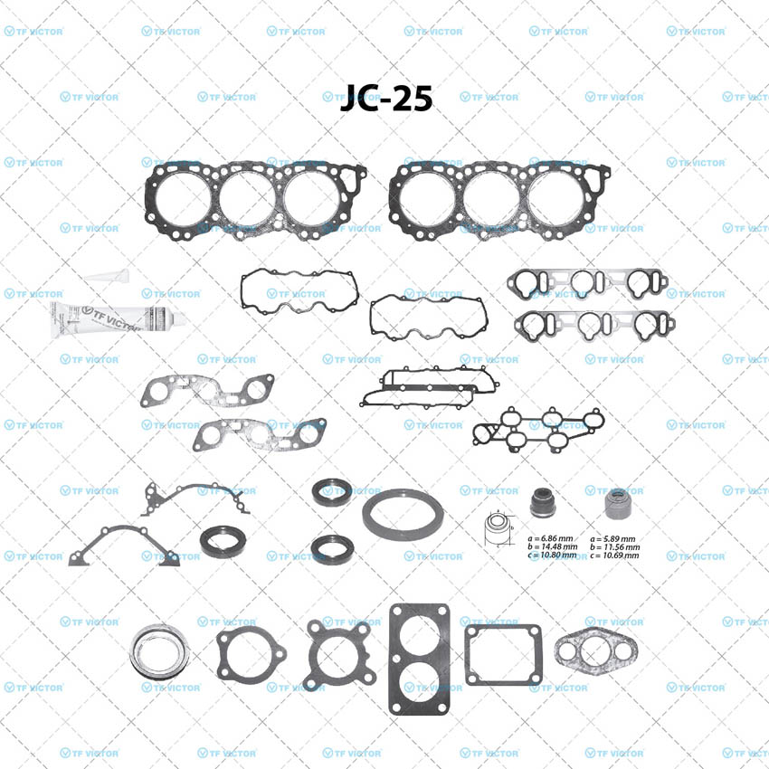 Juego completo para motor TF Victor JC-25