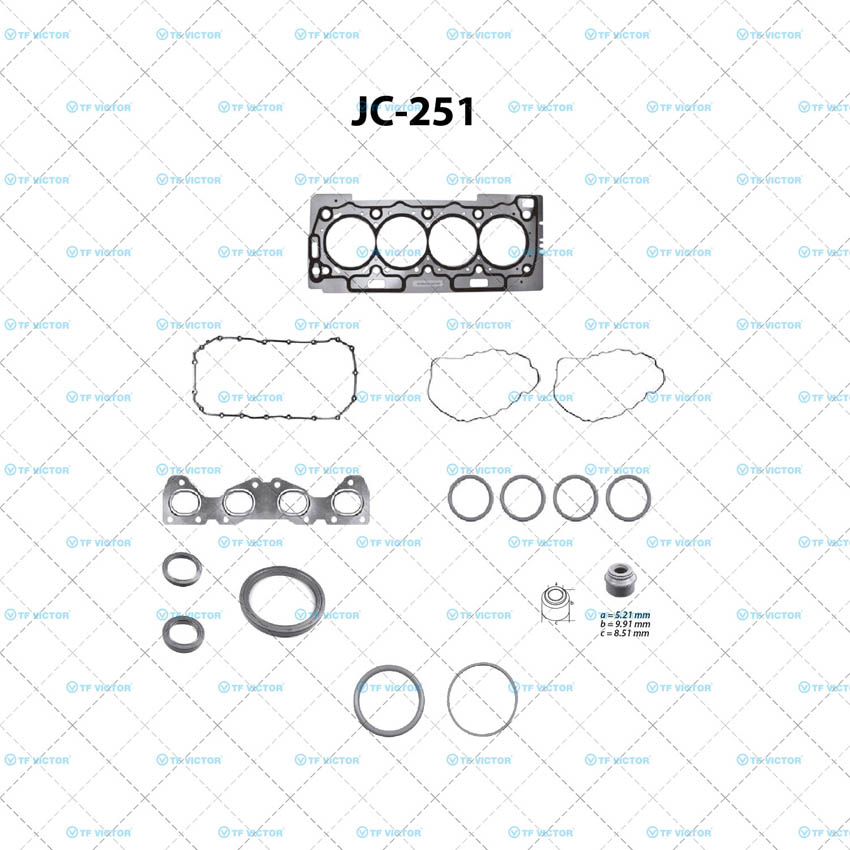 Juego completo para motor TF Victor JC-251