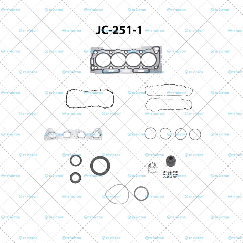 Juego completo para motor TF Victor JC-251-1