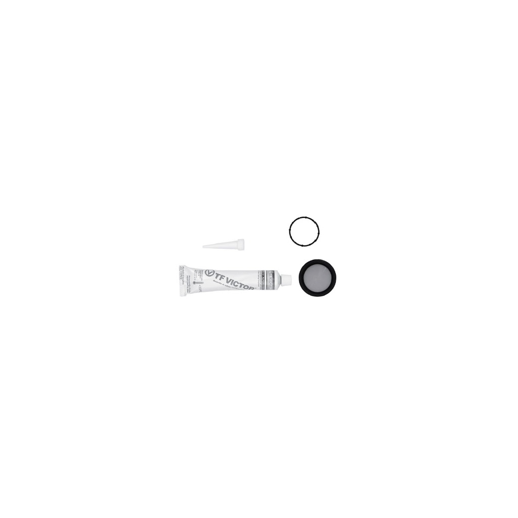TF-DJ-81269 — Juego de juntas de distribucion para motor TF Victor DJ-81269