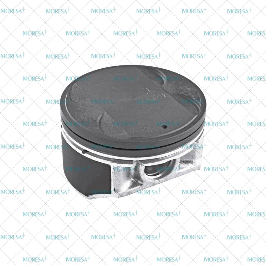 Piston Moresa 1002 STD
