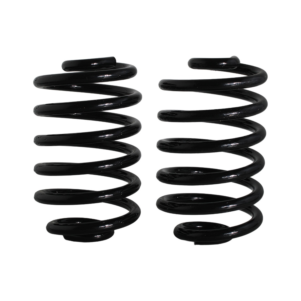 Resorte BMW 325 (E36) Serie 3 1995-2001 Trasero (Par)