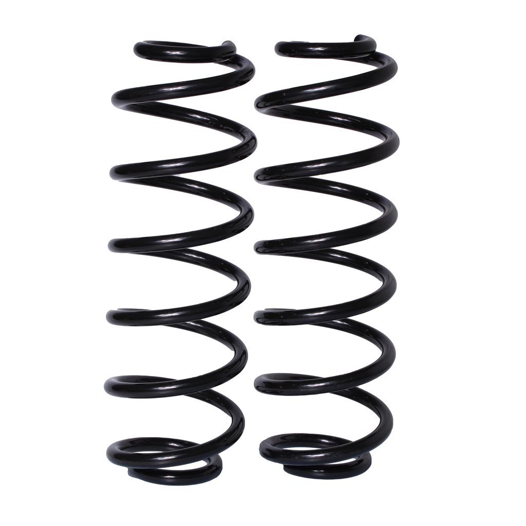 Resorte PEUGEOT 307 2004-2010 Trasero (Par)