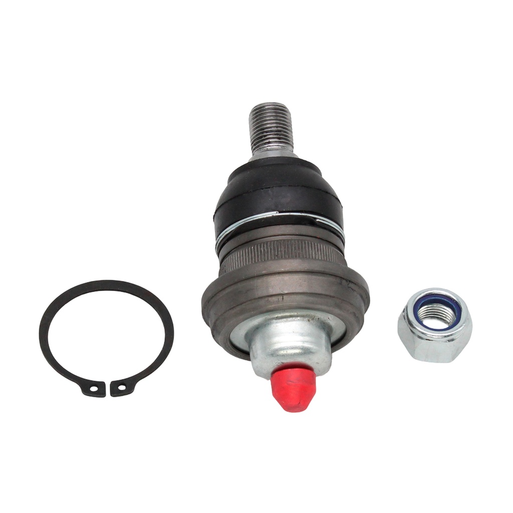Rotula Inferior H-100 03-10
