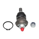 Rotula Inferior H-100 03-10