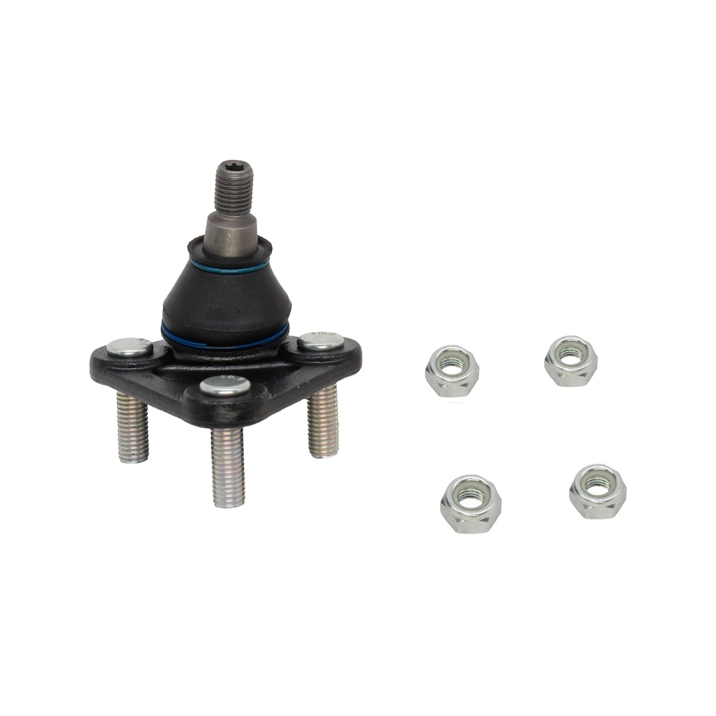 Rotula Inferior TT 98-06