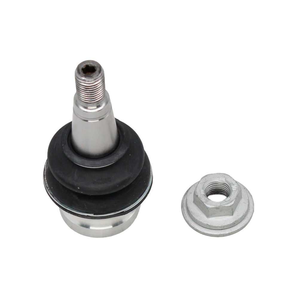 Rotula Inferior A4 16-23