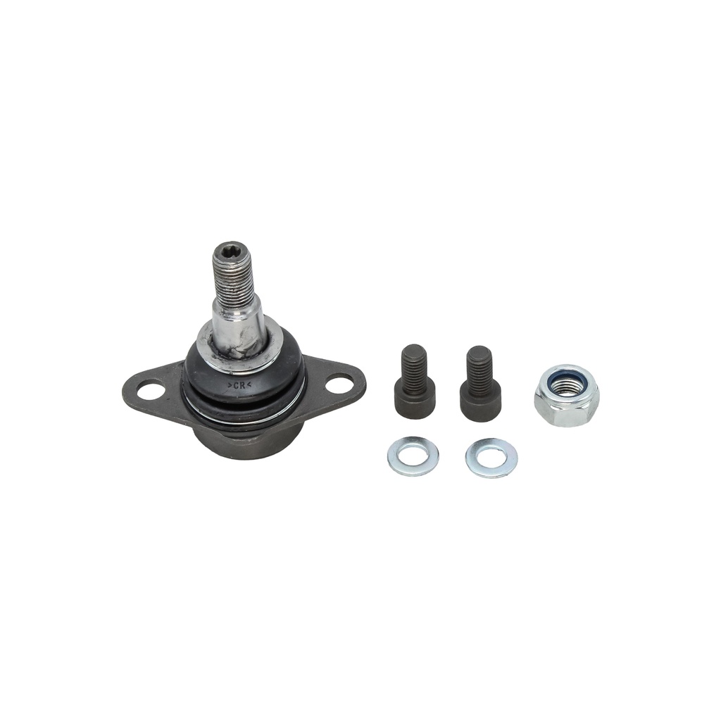 Rotula Inferior X3 04-10