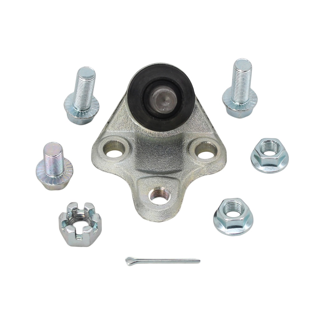 Rotula Inferior Dashing 24-25