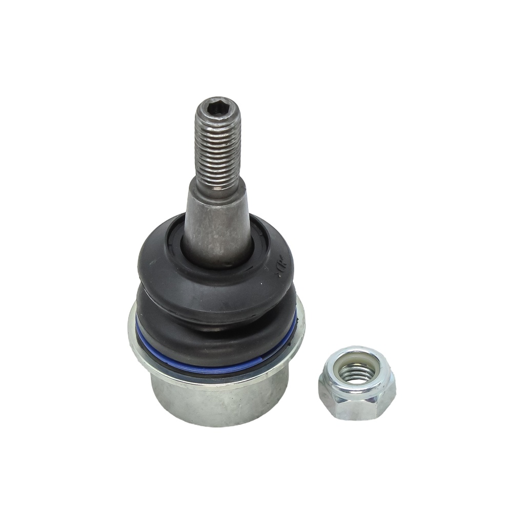 Rotula Inferior CTS 08-15