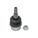 Rotula Inferior CTS 08-15