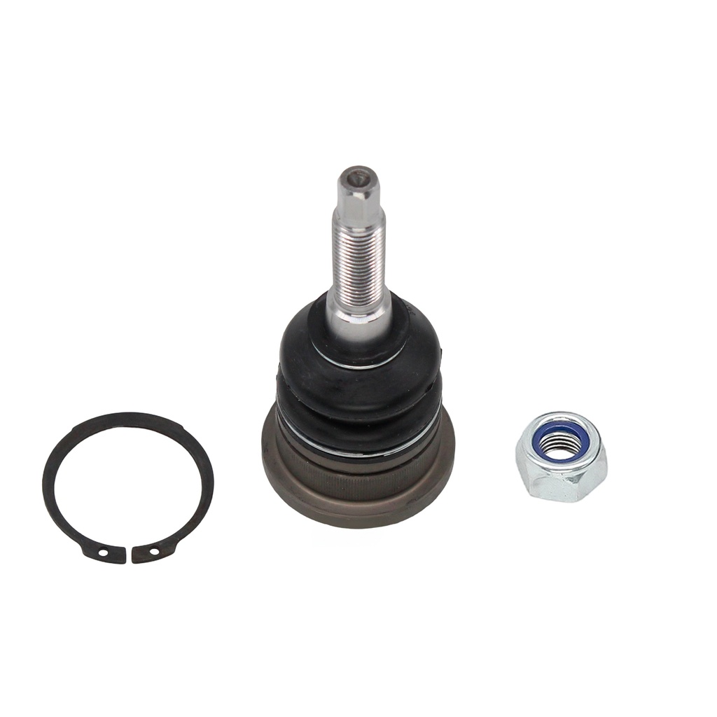 Rotula Superior Ram-1500 4X2 Suspension Independiente 06-19