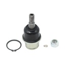 Rotula Inferior P/Horquilla Aluminio Ram-1500 4X2 Suspension Independiente 09-19