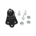 Rotula Inferior Neon 16-20