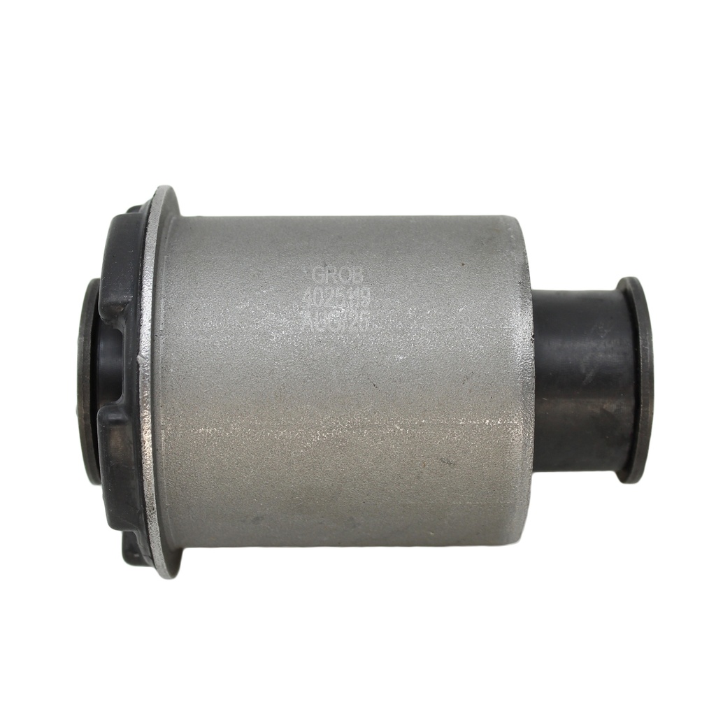Buje Inferior Lobo 21-23