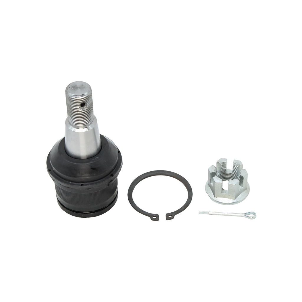 Rotula Inferior E-250 07-08