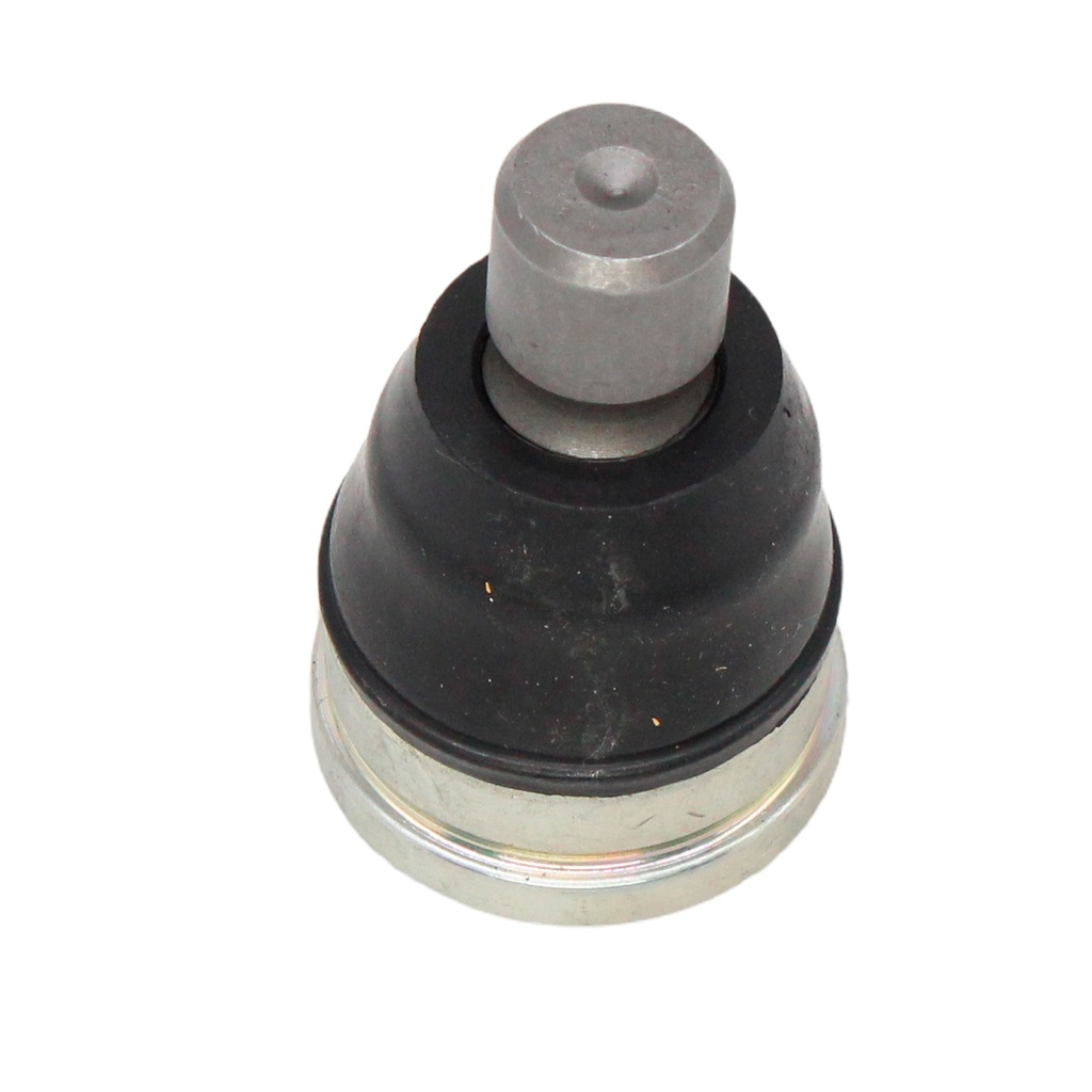 Rotula Inferior Figo 15-21