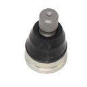 Rotula Inferior Figo 15-21