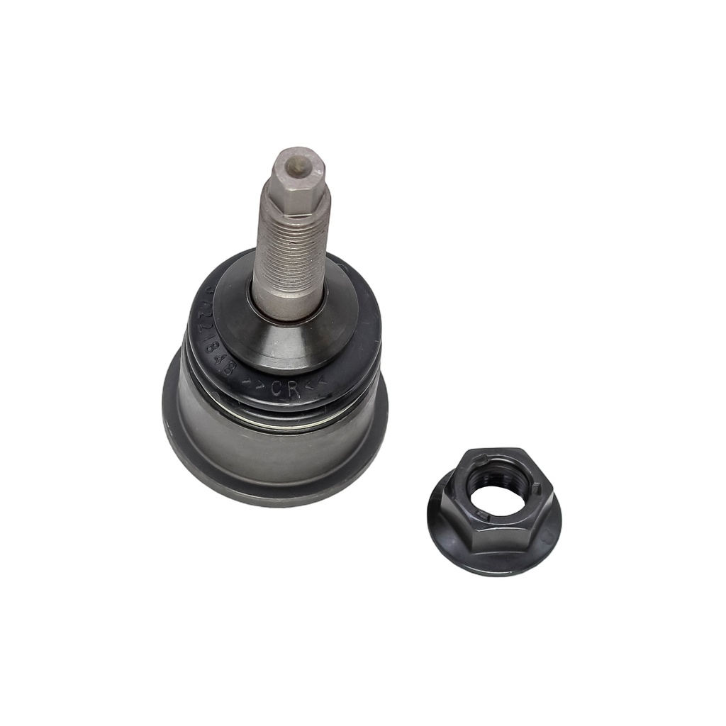 Rotula Inferior 16mm LS 03-07