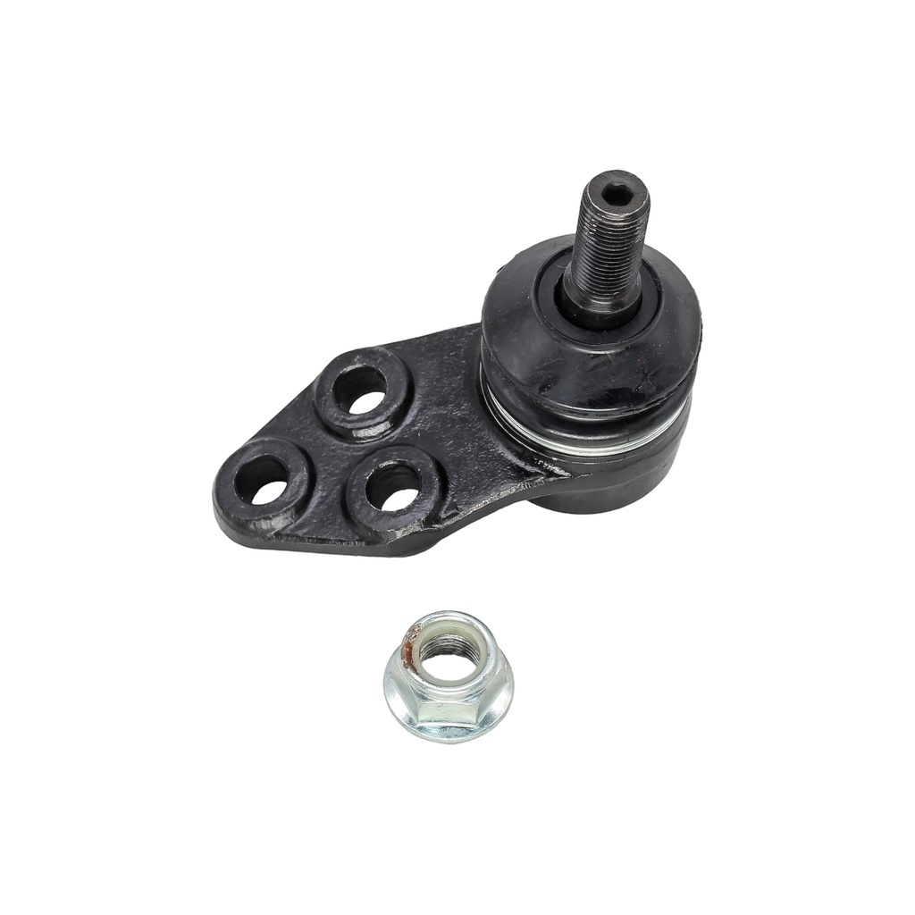 Rotula Inferior HS 21-24