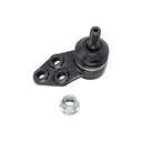 Rotula Inferior HS 21-24