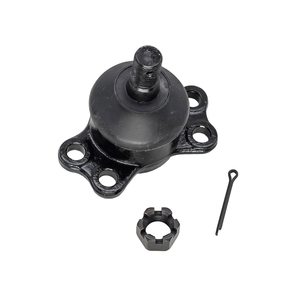 Rotula Inferior RX8 22-24