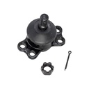 Rotula Inferior RX8 22-24