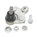 Rotula Inferior RDX 07-17