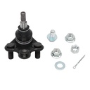 Rotula Inferior ILX 13-16