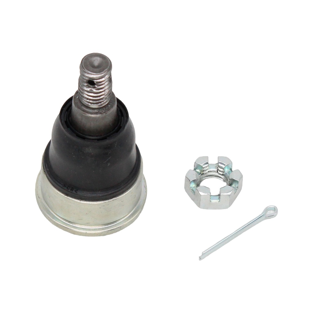 Rotula Inferior TL 15-16