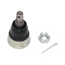 Rotula Inferior TL 15-16