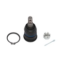 Rotula Inferior Ridgeline 06-14