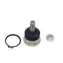 Rotula Inferior Elantra 21-24