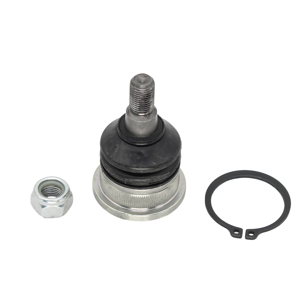 Rotula Inferior K3 24-25