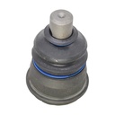 Rotula Inferior Clase E W124 85-95