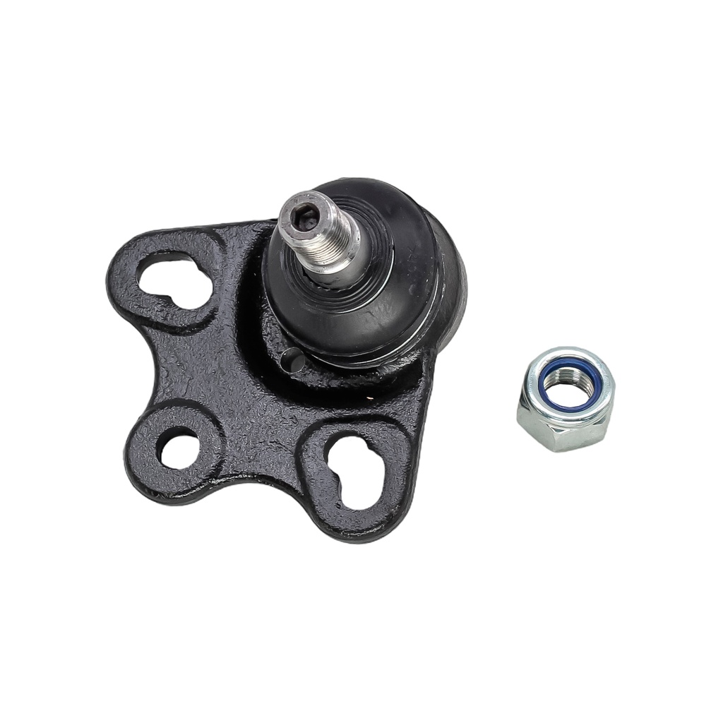 Rotula Inferior Clase B 06-11