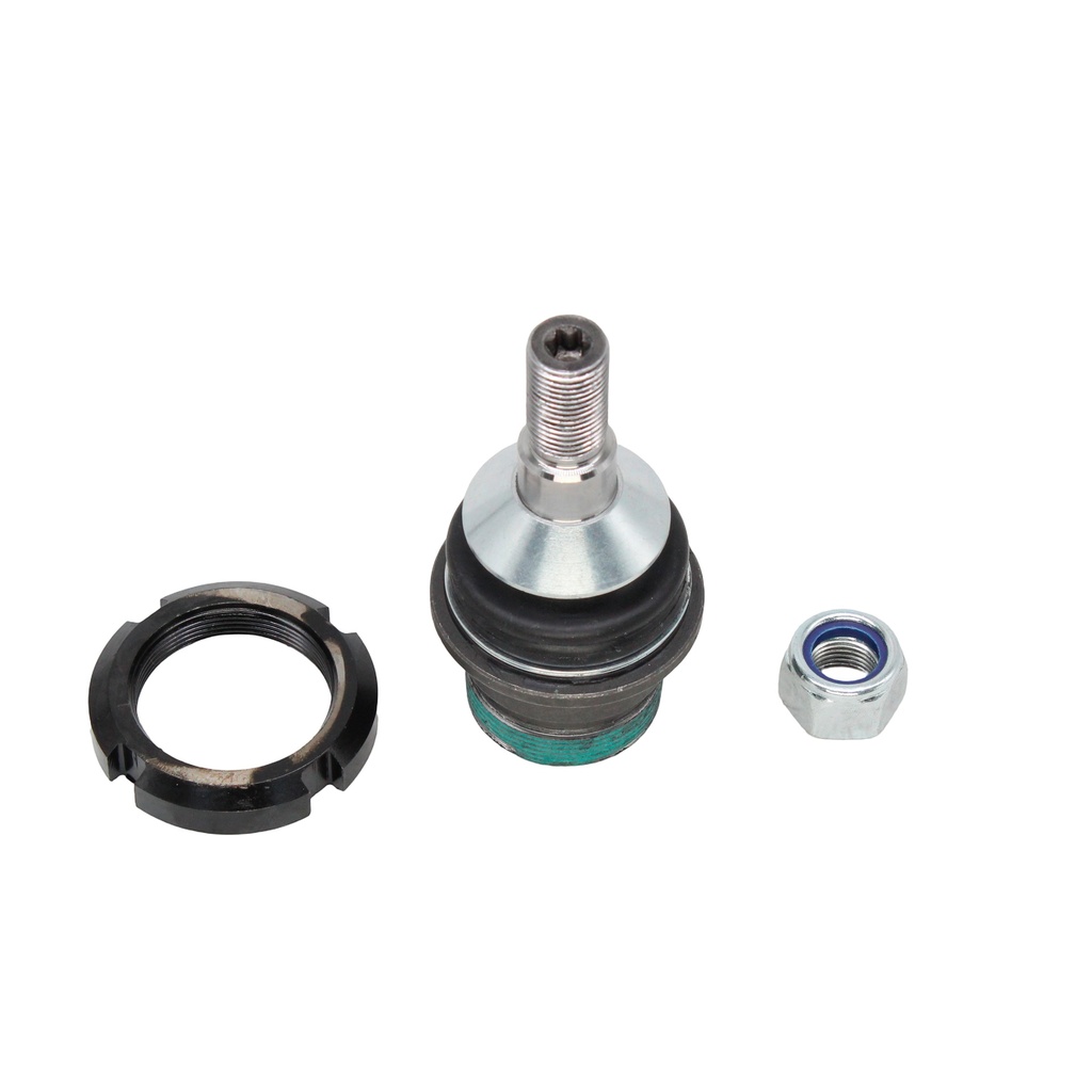 Rotula Inferior Clase M 06-11