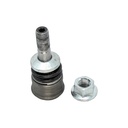 Rotula Inferior Clase C 13-16