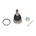 Rotula Superior QX80 14-20